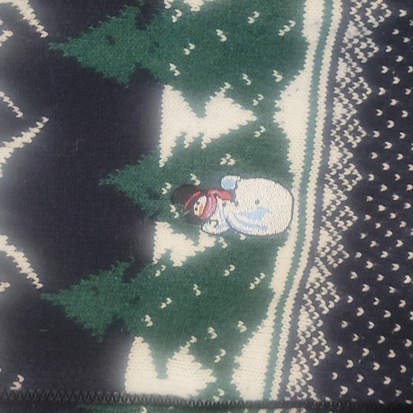 Northern Reflections  V-neck Cardigan Sweater in Blue, green, white mix size M - Picture 4 of 15